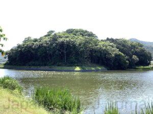 Ryoguzan Tomb and its moat.