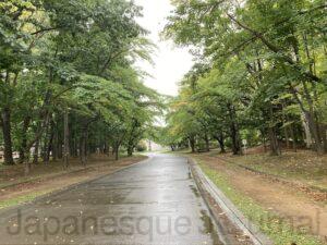 Nakajima Park